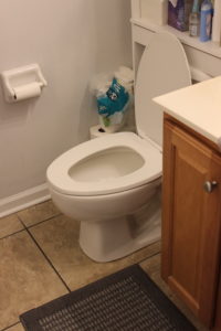 Toilet services at Ultimate Plumbing & HVAC